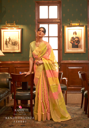 Multicolor Organza Saree