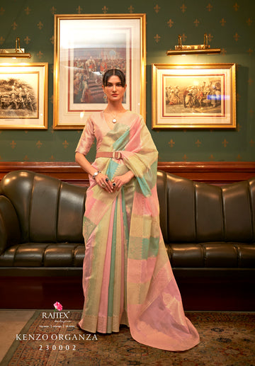 Multicolor Organza Saree