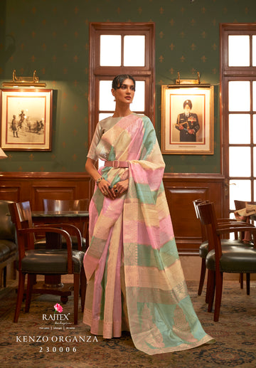 Multicolor Organza Saree