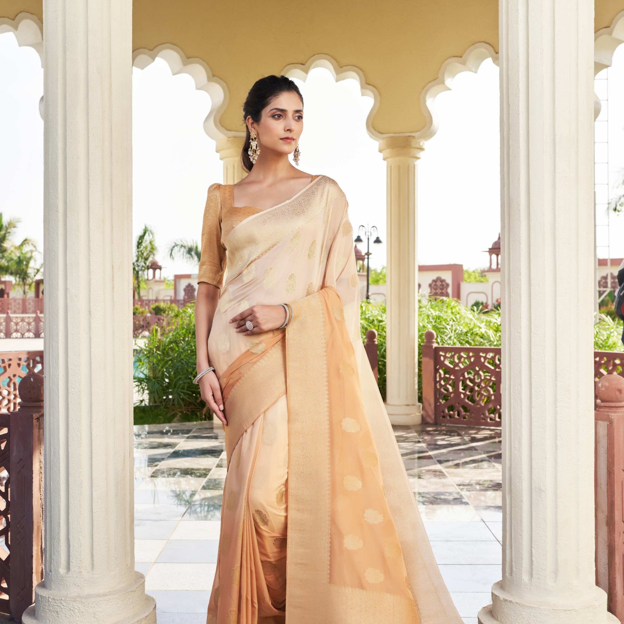 Beige Pure Georgette Saree