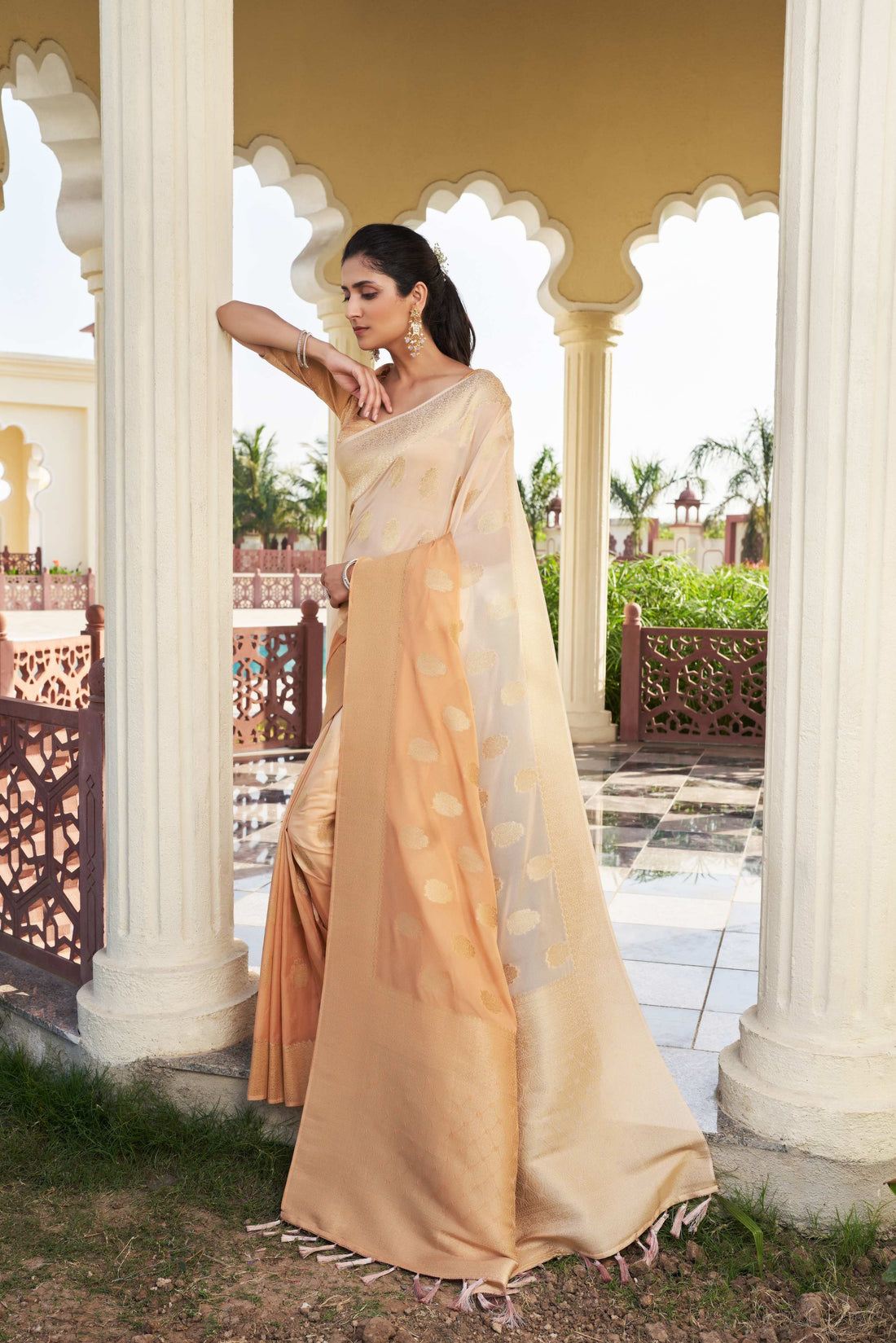 Beige Pure Georgette Saree