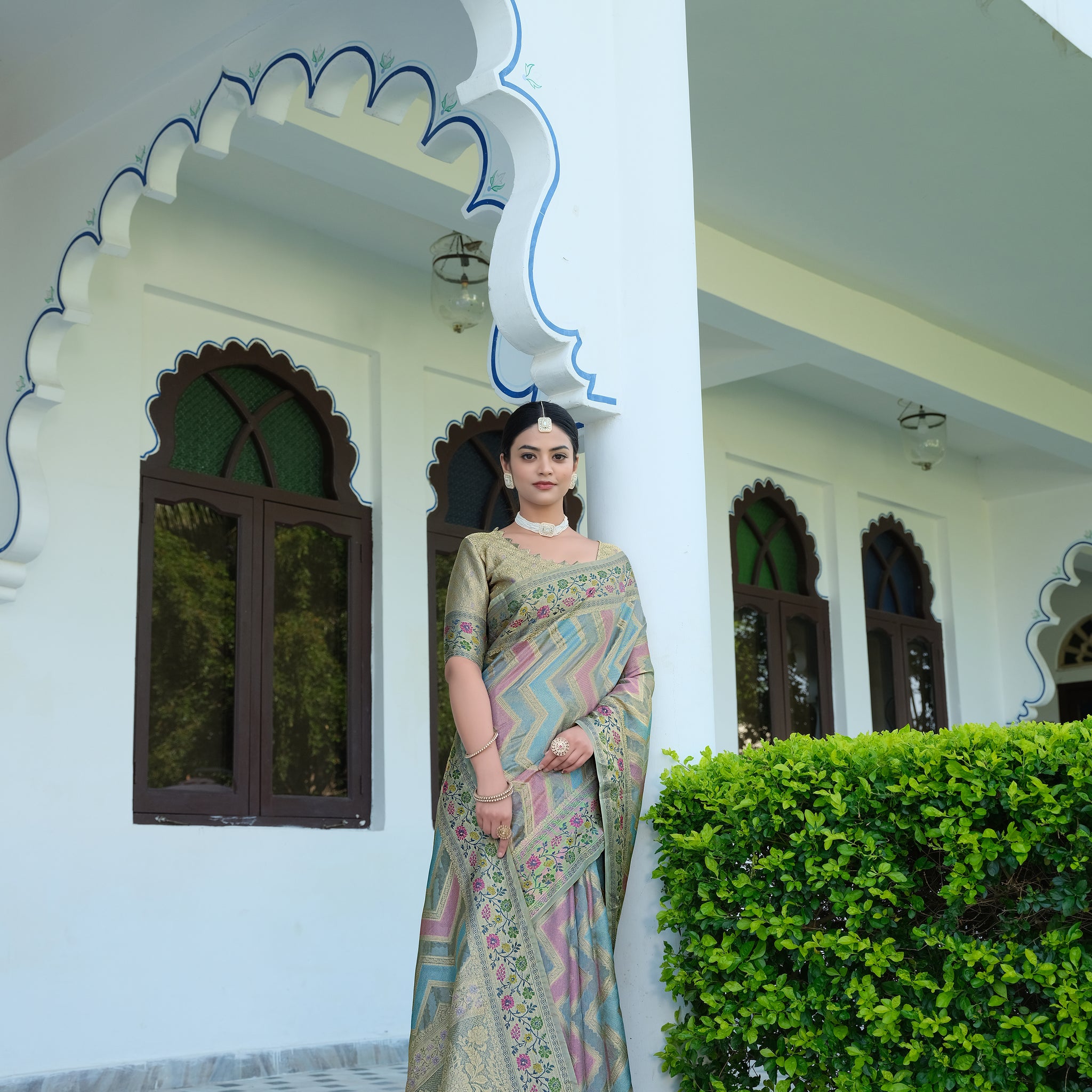 Gray Organza Saree