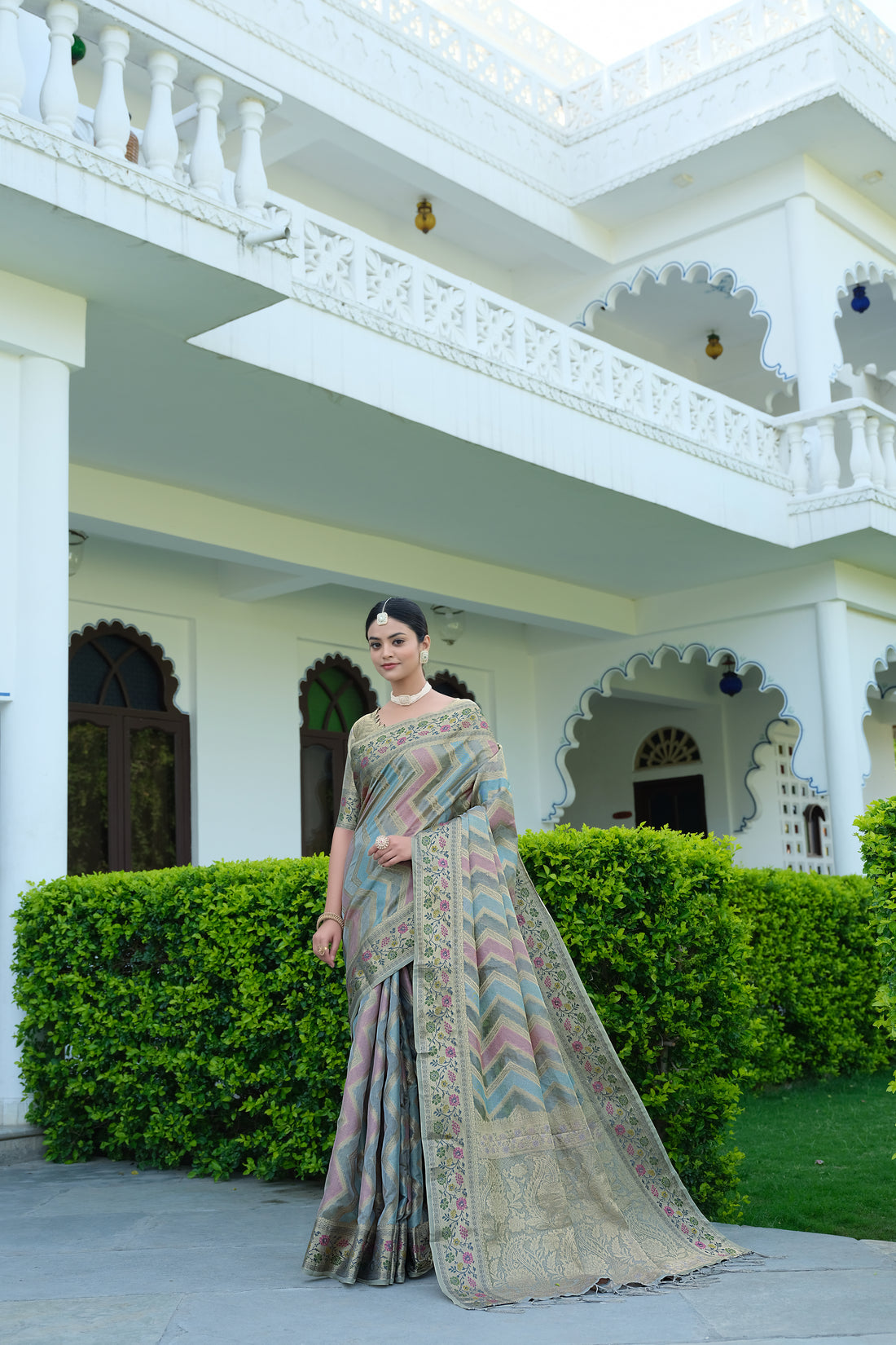 Ishika Fab Gray Organza Saree