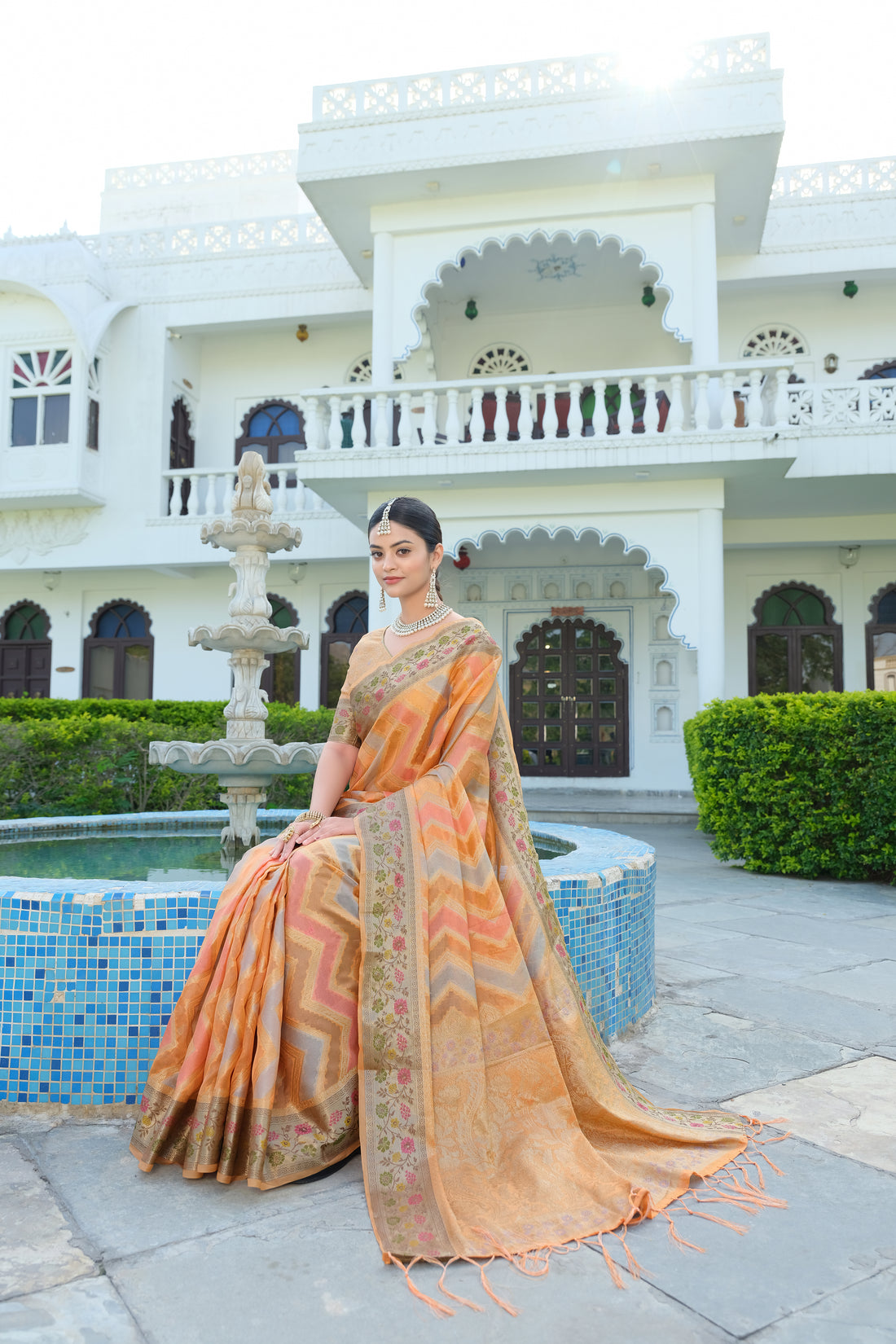 Ishika Fab Orange Organza Saree