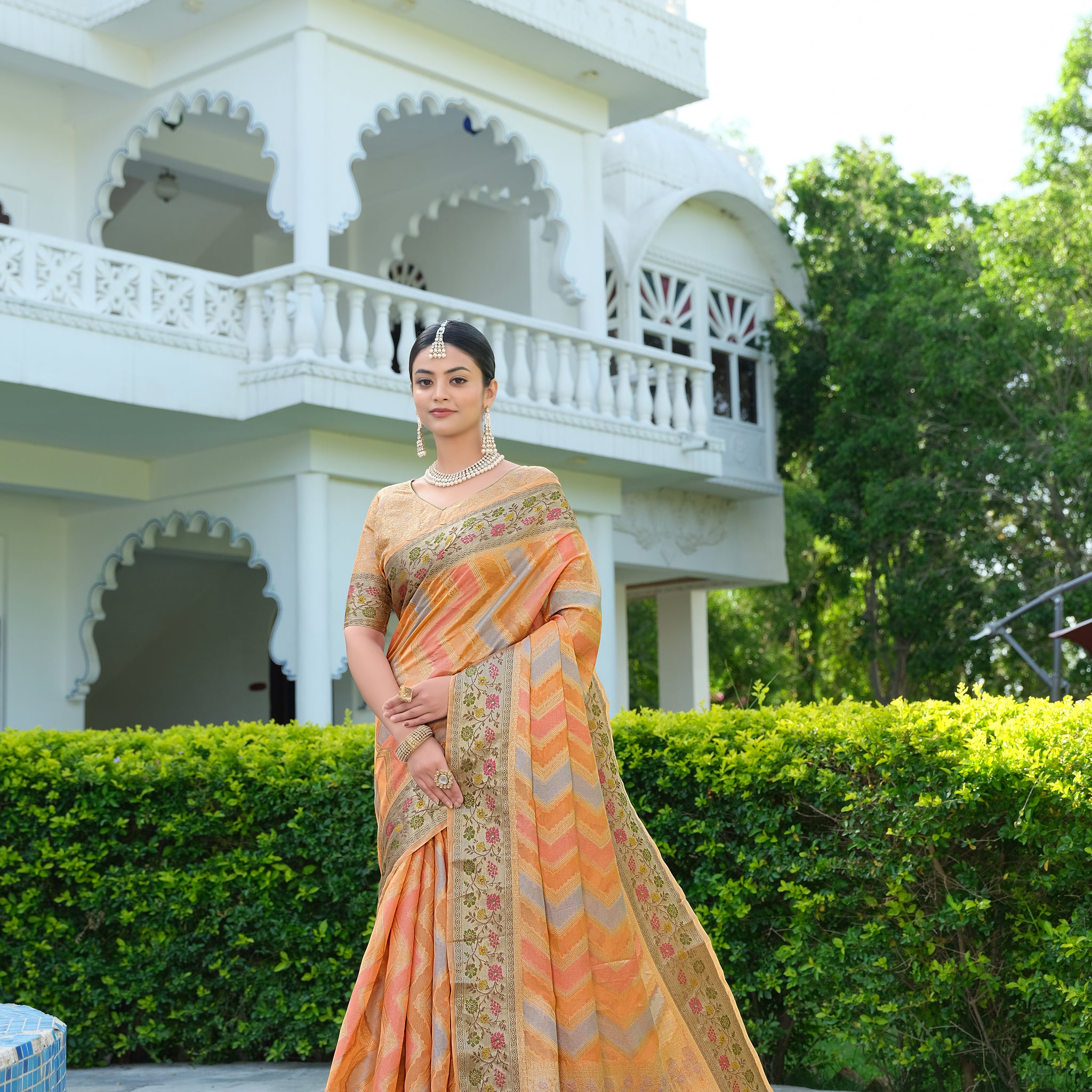 Orange Organza Saree