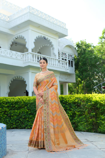 Orange Organza Saree