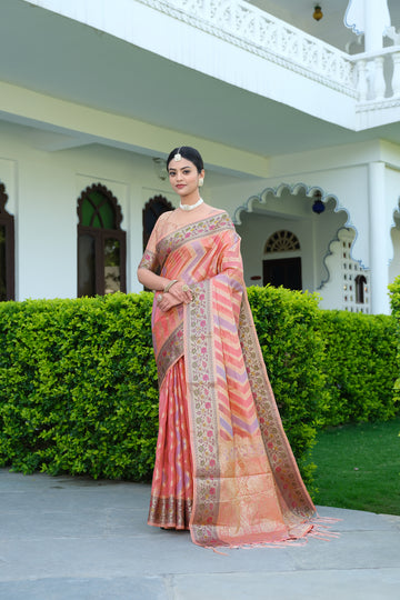 Pink Organza Saree