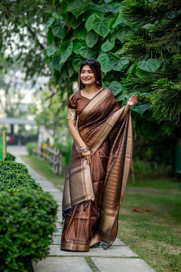 Brown Soft Banarasi Raw Silk Saree