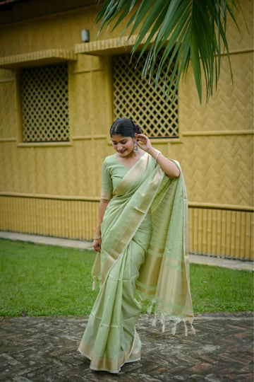 Mint Green Soft Banarasi Raw Silk Saree