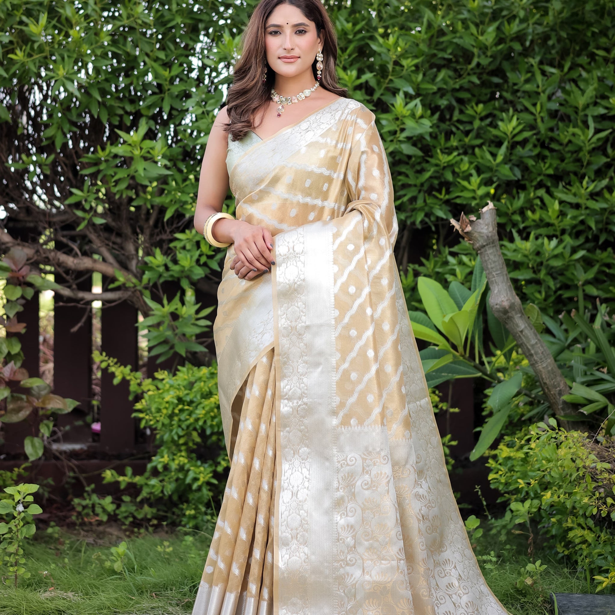 Beige Banarasi Glass Tissue Saree