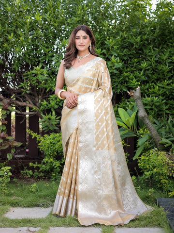 Beige Banarasi Glass Tissue Saree