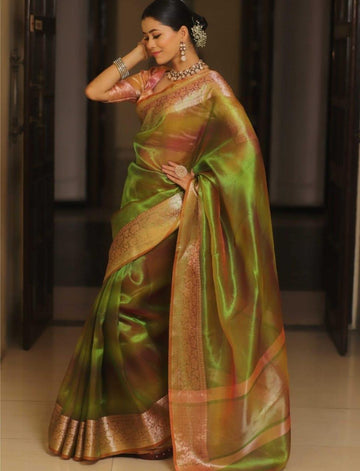 Pre-Draped Rainbow Banarasi Tissue Silk Saree