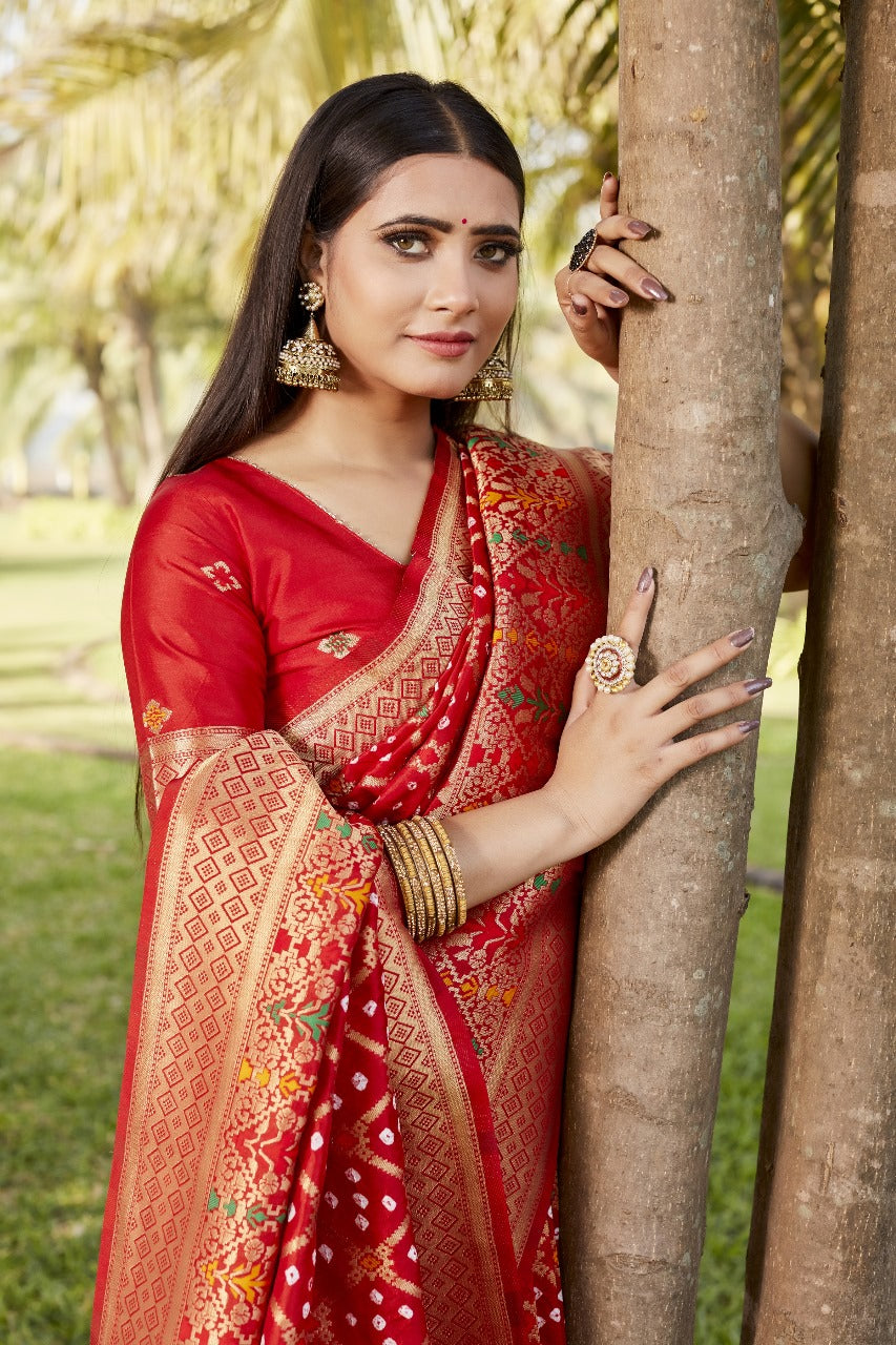 Red Bandhej Silk Saree