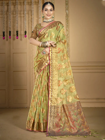 Light Green Organza Saree