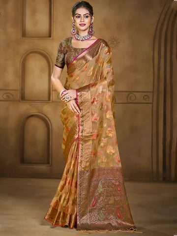 Orange Organza Saree