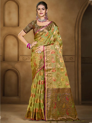 Light Green Organza Saree