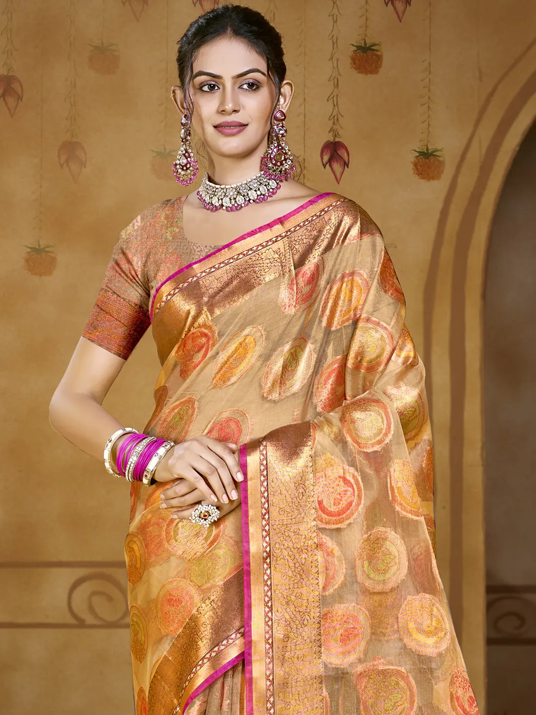 Brown Organza Saree