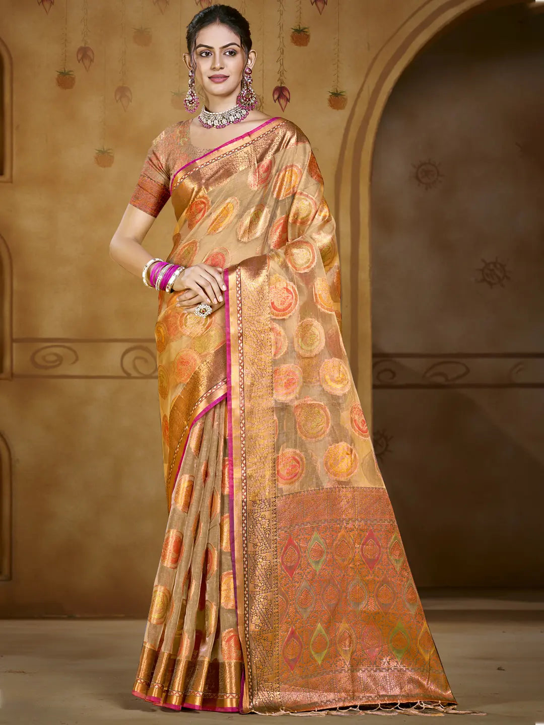 Brown Organza Saree