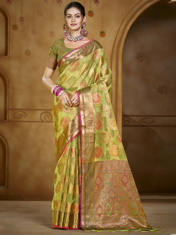 Light Green Organza Saree