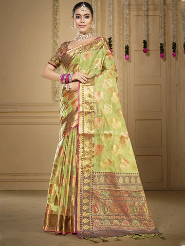 Light Green Organza Saree