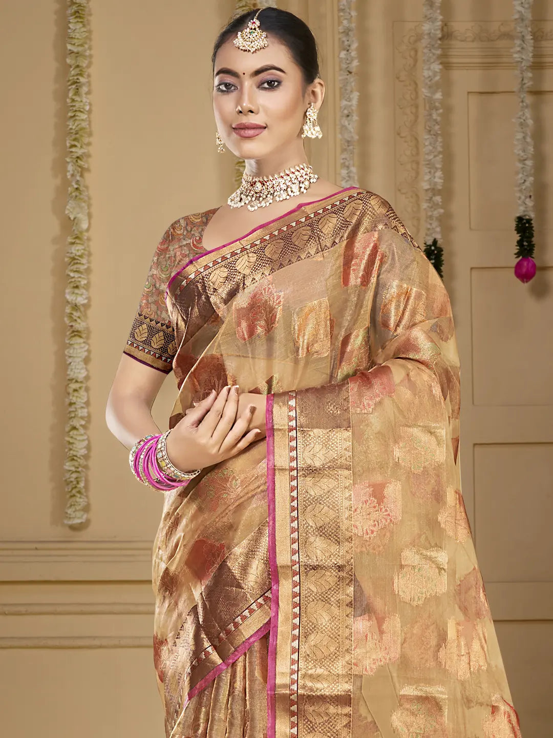 Brown Organza Saree