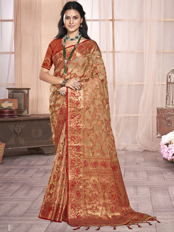 Beige Organza Saree