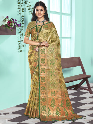 Light Green Organza Saree