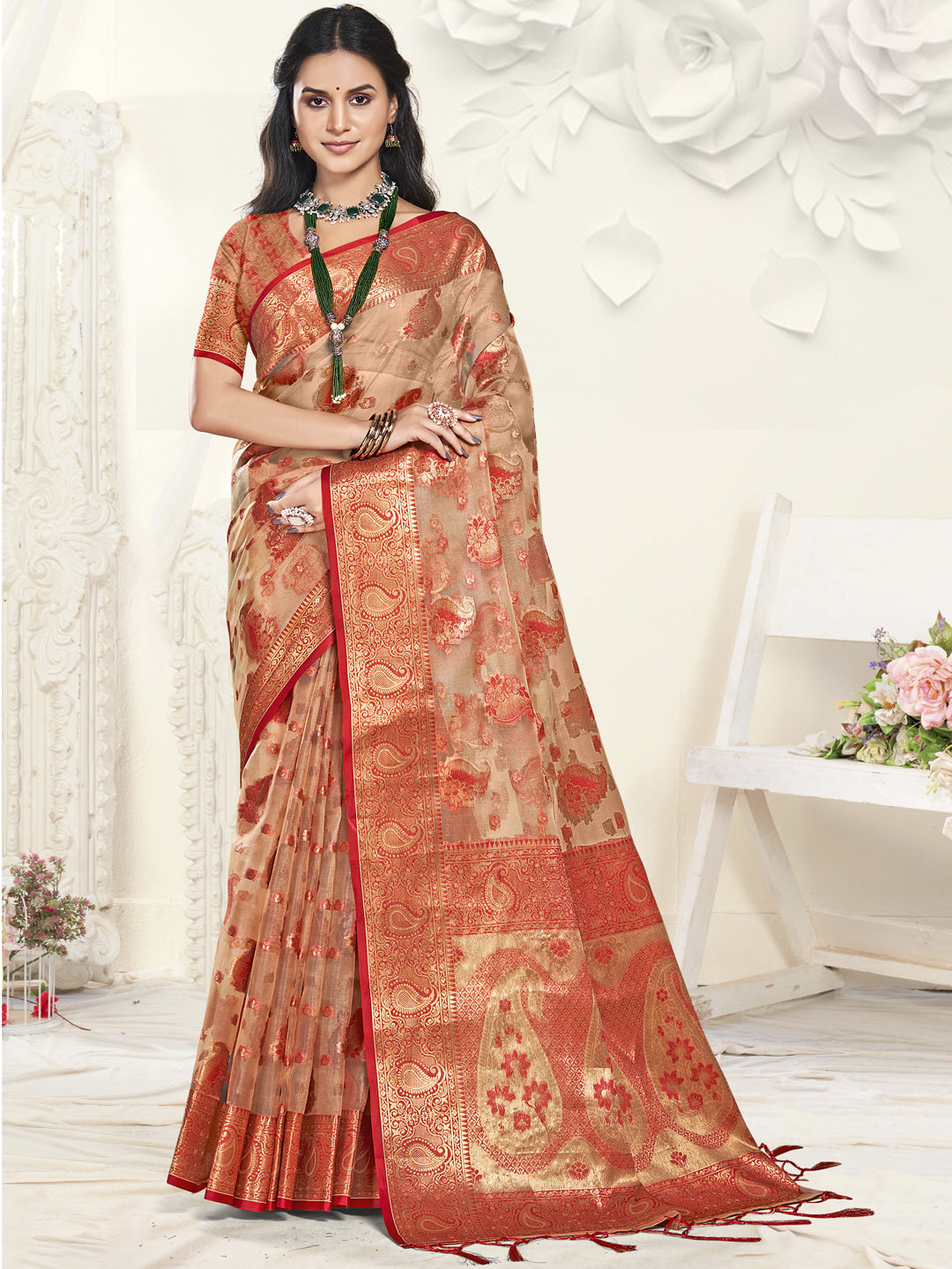 Light Brown Organza Saree