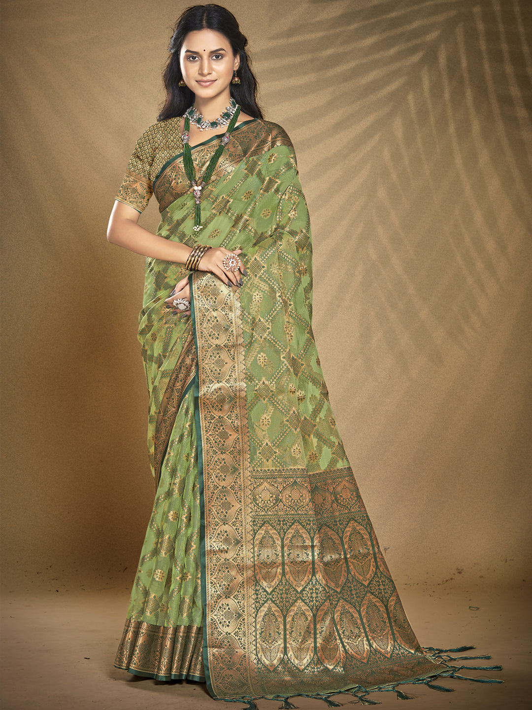 Light Green  Organza Saree