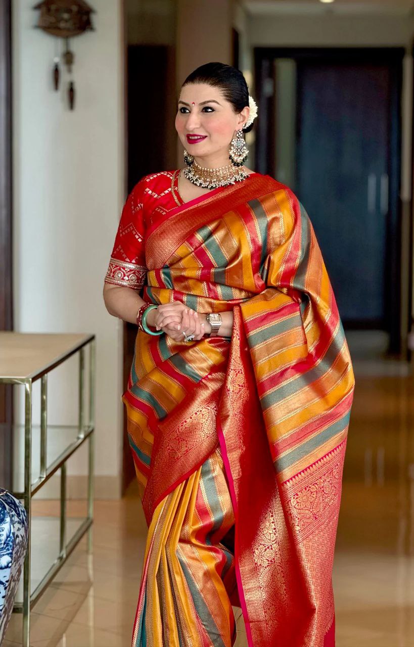 Multi Colour Kanjivaram Silk Saree