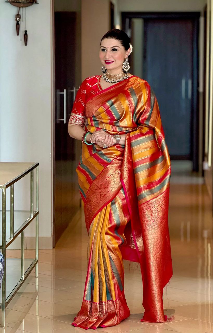 Multi Colour Kanjivaram Silk Saree