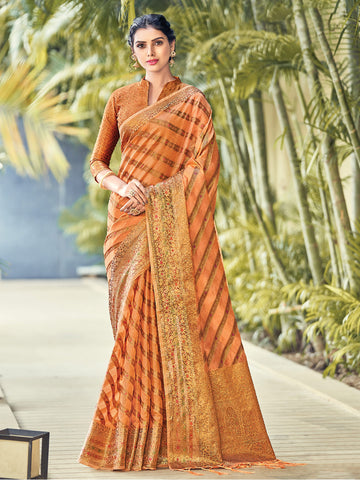 Orange Organza Saree