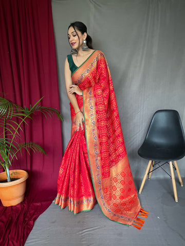 Red Patola Silk Saree