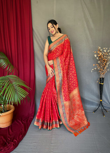 Red Patola Silk Saree