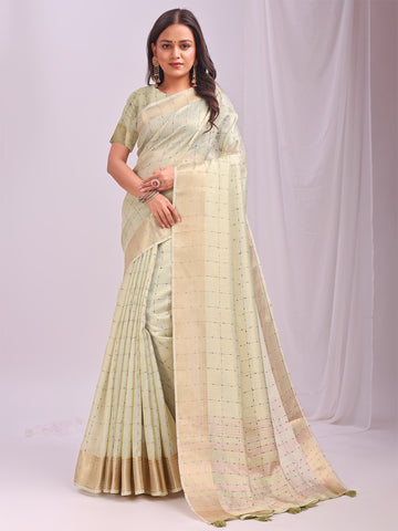 Light Green Organza Saree